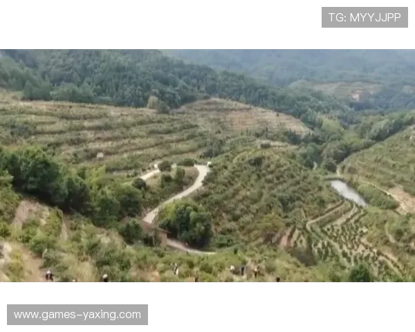 亚星娱乐数字站全面解析：最新游戏资讯与行业动态一站掌握